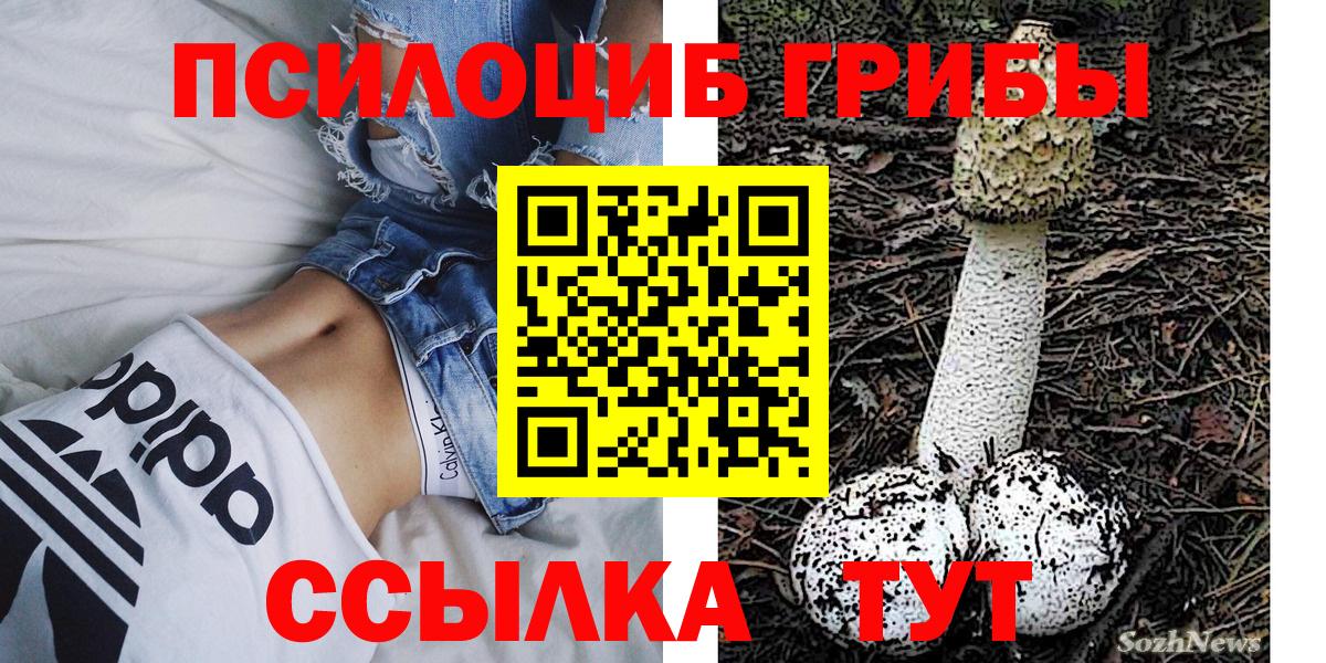 Псилоцибиновые грибы мицелий  Вход с VPN  Пятигорск 