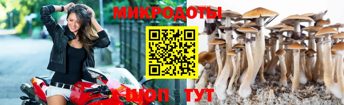 Галлюциногенные грибы мухоморы Пятигорск